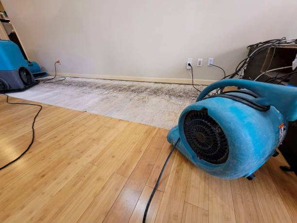 Professional Structural Drying technician working in Republic, PA